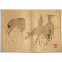 Japanese Print by Nakamura Hochu, 中村芳中 (Nakamura HOCHU)