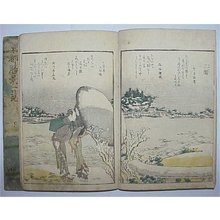 Katsushika Hokusai, 葛飾北斎 (Katsushika HOKUSAI)による浮世絵