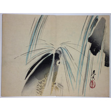 Unbetitelter japanischer Druck von Shibata Zeshin, 柴田是眞 (Shibata ZESHIN)