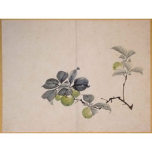 Japanese Print by Mori Kansai, 森寛斎 (Mori KANSAI)