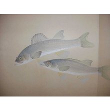 Ono BAKUFUによる無題の浮世絵