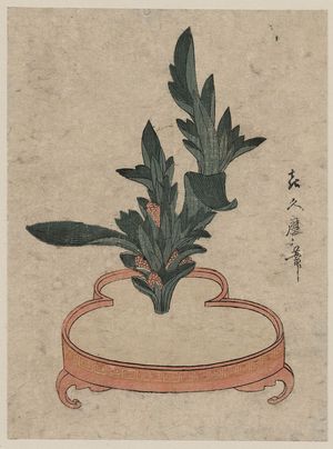 喜多川月麿: Rikka flower arrangement of Haran. - アメリカ議会図書館