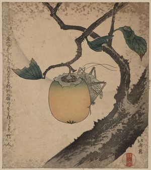 Katsushika Hokusai: Grasshopper eating persimmon. - Library of Congress