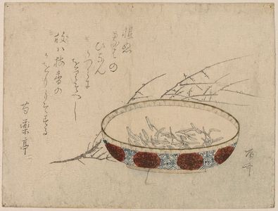Ryuryukyo Shinsai: Plum and wild water lily. - Library of Congress