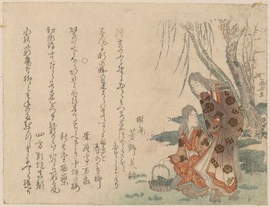 Ryuryukyo Shinsai: Picking spring greens. - Library of Congress