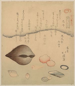 Totoya Hokkei: Aragai, masuōgai, anagai: clams. - Library of Congress