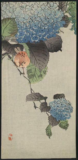 Unknown: Small bird and hydrangea. - Library of Congress