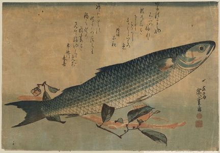 Utagawa Hiroshige: Striped mullet (Bora). - Library of Congress