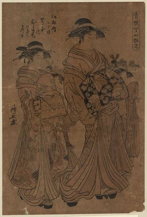 Torii Kiyonaga: The courtesan Hitomachi of Tsutaya at Edomachi Nichōme. - Library of Congress