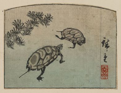 Utagawa Hiroshige: Turtles. - Library of Congress