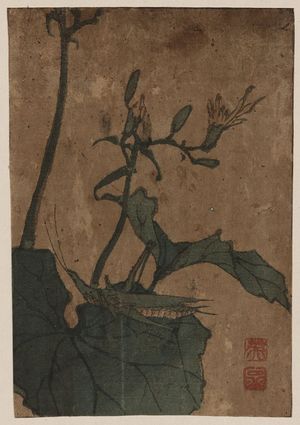 Keisai Eisen: Grasshopper. - Library of Congress