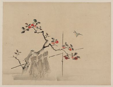 Unknown: [Blue bird about to land on a branch of a fruit tree] - Library of Congress