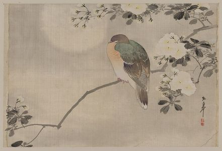 Unknown: [Bird perched on a branch of a blossoming tree] - Library of Congress