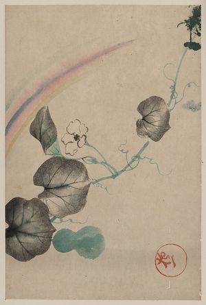 Unknown: [Squash vine with blossom, squash, and rainbow, with publisher seal in lower right] - Library of Congress