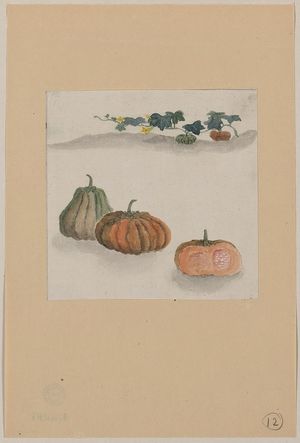 Unknown: [Kabocha squash with plant growing in the background] - Library of Congress