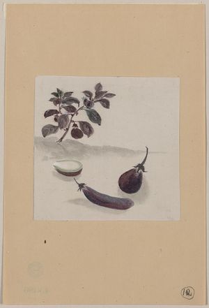 Unknown: [Eggplants with plant growing in the background] - Library of Congress