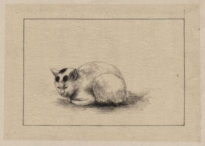 Unknown: [Domestic cat] - Library of Congress