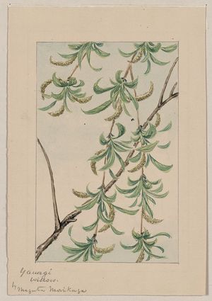 Unknown: Yanagi - willow / by Megata Morikaga. - Library of Congress