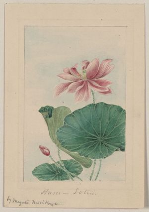 Unknown: Hasu - lotus / by Megata Morikaga. - Library of Congress