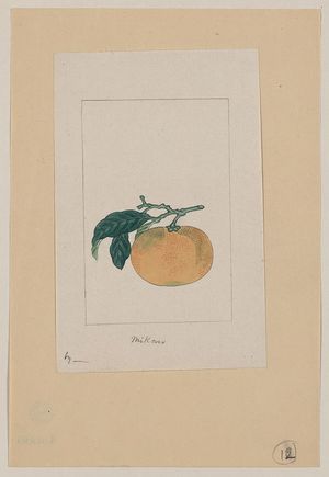 Unknown: Mikan - Library of Congress