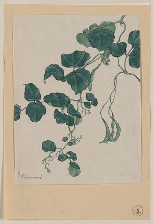 Unknown: [Mame - green bean or pea plant showing vine, leaves, pods, and blossoms] / Kanemori. - Library of Congress