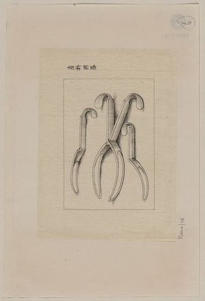 Unknown: [Forceps?] - Library of Congress