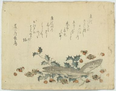 Ryuryukyo Shinsai: Sardines and plums on holly. - Library of Congress