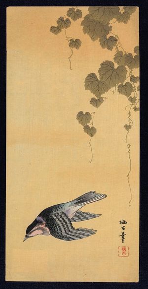 Unknown: Small bird and grapes. - Library of Congress