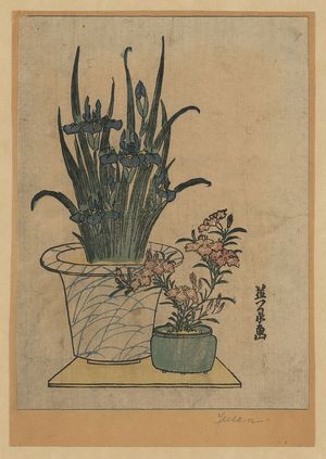 渓斉英泉: Potted irises and pinks. - アメリカ議会図書館