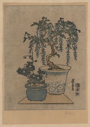 渓斉英泉: Potted wisteria. - アメリカ議会図書館