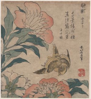 Katsushika Hokusai, 葛飾北斎 (Katsushika Hokusai)による浮世絵「Peony and canary.」