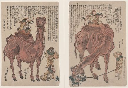 Utagawa Kuniyasu: A pair of camels. - Library of Congress