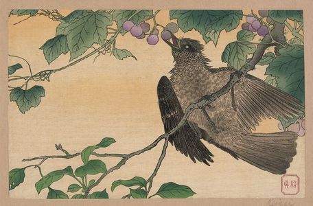 Unknown: Birds-and-flowers print. - Library of Congress