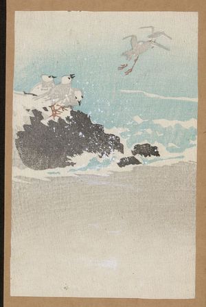 Unknown: Plovers over waves. - Library of Congress