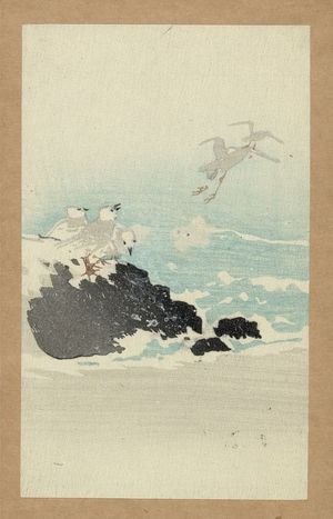 Unknown: Plovers over waves. - Library of Congress