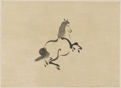 Unknown: Horse. - Library of Congress