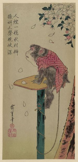 歌川広重: Monkey on a leash and cherry blossoms. - アメリカ議会図書館