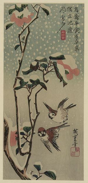 歌川広重: Sparrows and camellias in snow. - アメリカ議会図書館