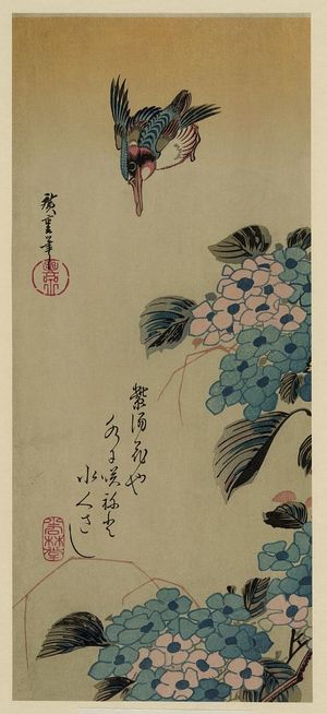 Utagawa Hiroshige: Hydrangea and Kingfisher. - Library of Congress