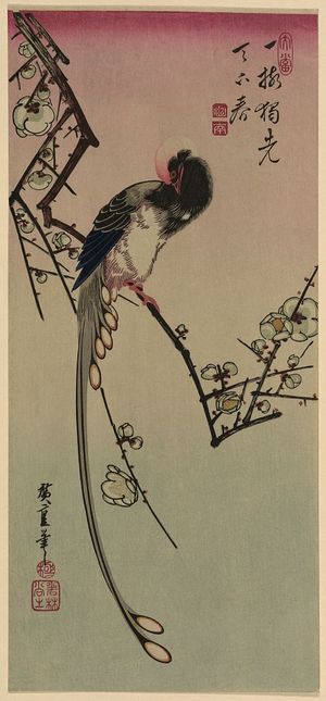 歌川広重: Plum blossom and magpie (long tailed cock onagadori). - アメリカ議会図書館