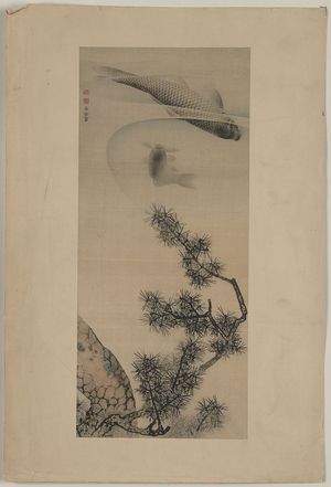 Maruyama Ōkyo: Koi under a pine branch. - アメリカ議会図書館