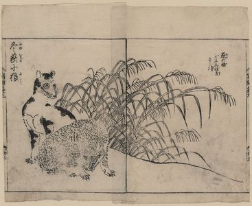 Tachibana Morikuni: [Wolves and winter reeds] - アメリカ議会図書館