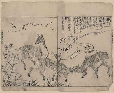 Tachibana Morikuni: [Deer, two bucks fighting, next to a stream] - Library of Congress