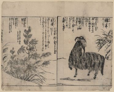 Tachibana Morikuni: [Ram and autumn mallow] - Library of Congress