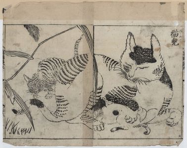 Tachibana Morikuni: [Domestic cat nursing kittens] - アメリカ議会図書館