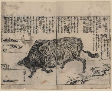 Tachibana Morikuni: [A large bull or ox] - アメリカ議会図書館