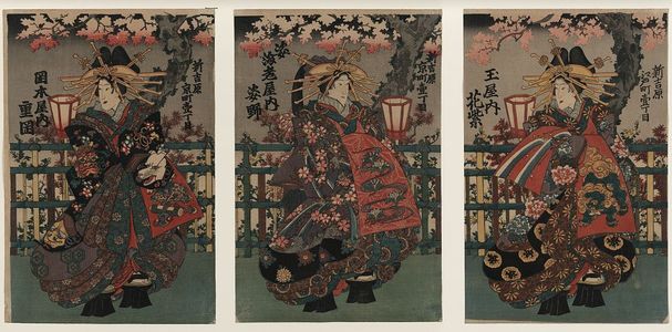 Unknown: The courtesan Shigeoka of Okamoto-ya : The courtesan Sugatano of Sugataebi-ya : The courtesan Hanamurasaki of Tama-ya. - Library of Congress