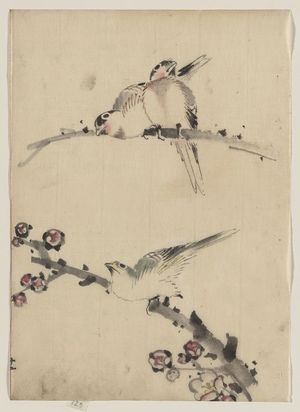 葛飾北斎: [Three birds perched on branches, one with blossoms] - アメリカ議会図書館