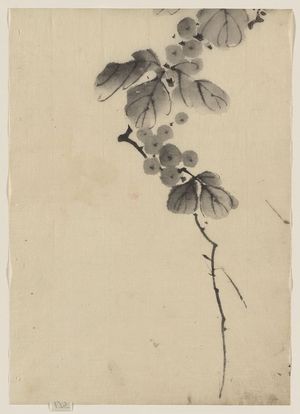 葛飾北斎: [Branch with leaves and berries] - アメリカ議会図書館