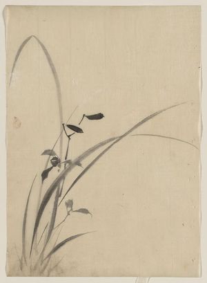 Katsushika Hokusai: [Grasses] - Library of Congress